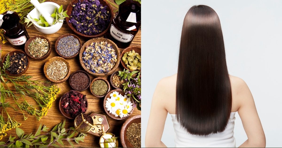 Top-8-Natural-Remedies-for-Hair-Growth