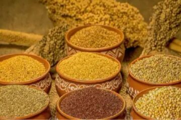 Top 10 Nutritional Benefits of Millets - A Kitchen-First Guide from Mana Vantillu