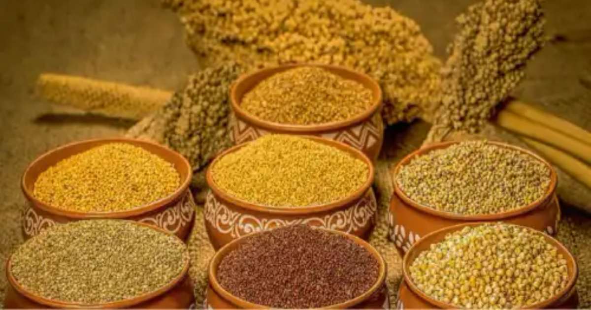 Top 10 Nutritional Benefits of Millets - A Kitchen-First Guide from Mana Vantillu