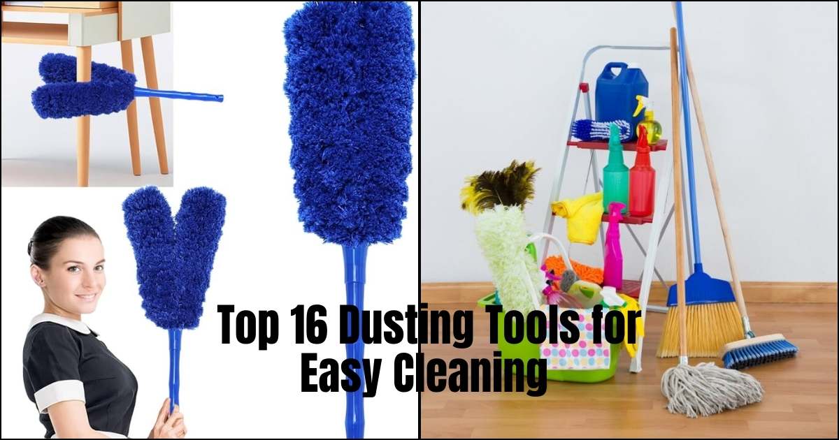 Top 16 Dusting Tools for Easy Cleaning